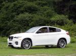 BMW X6 by Status Design 2010 года